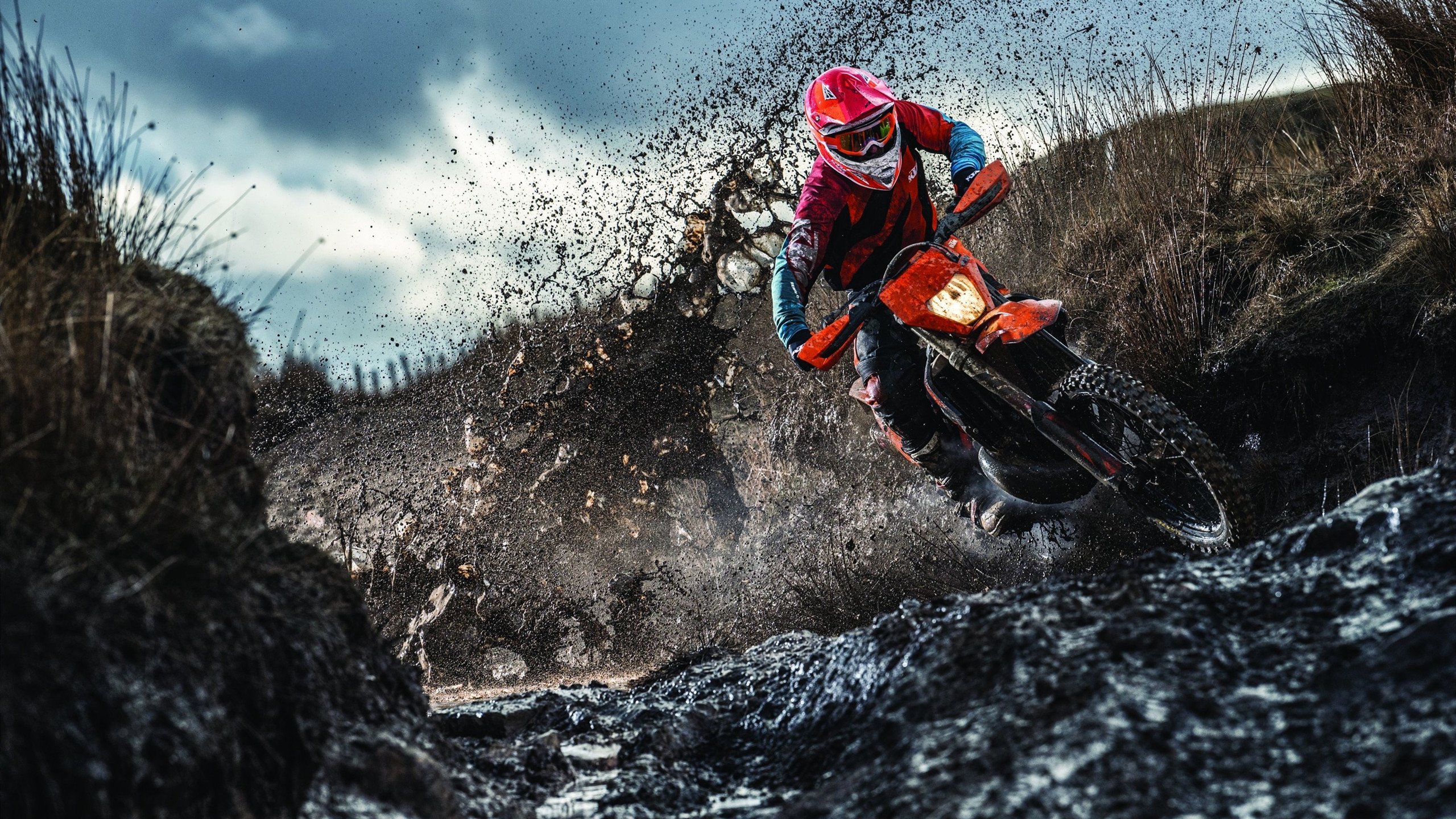 保利斯塔年轻阵容潜力巨大，保利斯丹